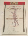Reconocimientos V Centenario de D. Pedro Menndez de Avils